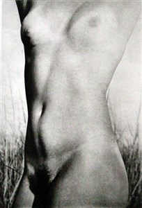 Image description is not available for 1998.060